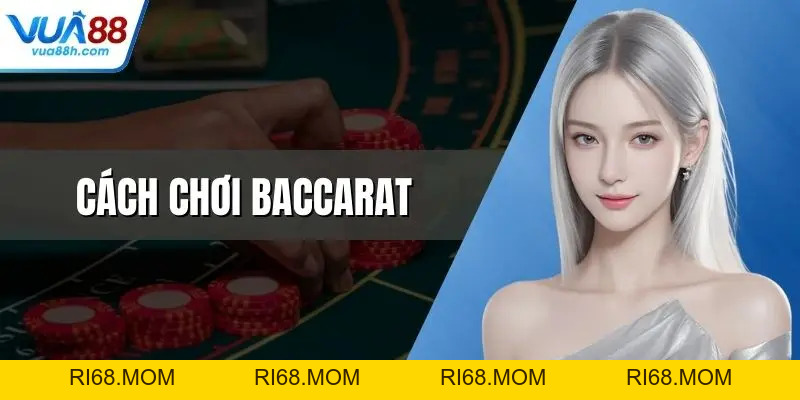 Đá Gà Thomo Trực Tiếp Kịch Tính Bùng Nổ Cảm Xúc