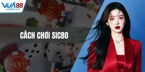 Tin Tức Từ Trang Cược Trực Tuyến Mới Nhất Và Chính Xác