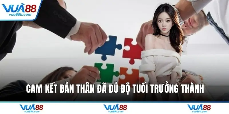 Miễn Trừ Trách Nhiệm - Nguyên Tắc Vận Hành Tại VUA88