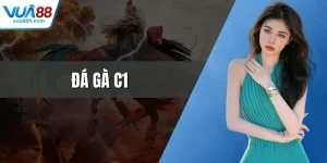 Tin Tức Từ Trang Cược Trực Tuyến Mới Nhất Và Chính Xác