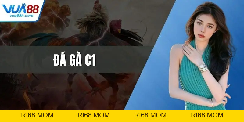 Đá Gà Thomo Trực Tiếp Kịch Tính Bùng Nổ Cảm Xúc