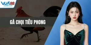 Tin Tức Từ Trang Cược Trực Tuyến Mới Nhất Và Chính Xác