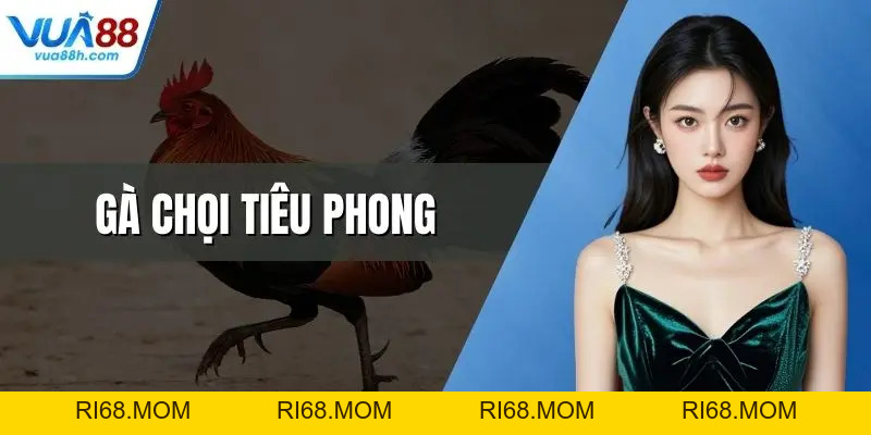 Sảnh Saba Đẳng Cấp Thể Thao Ảo Hấp Dẫn Nhất Hiện Nay