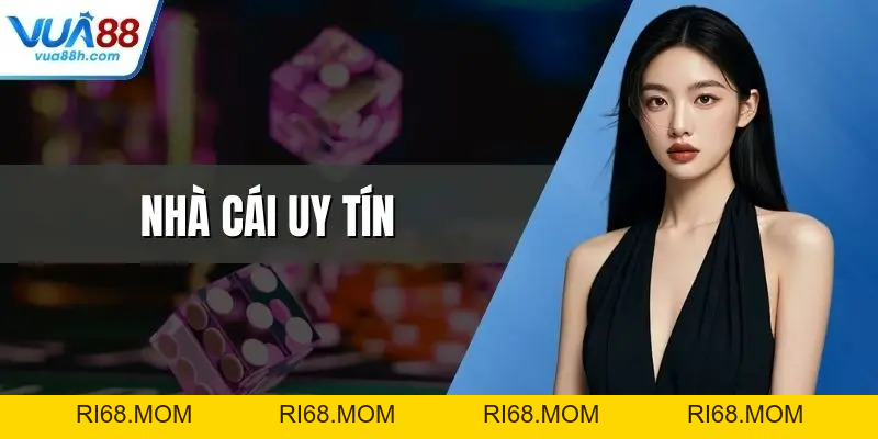 Đá Gà Thomo Trực Tiếp Kịch Tính Bùng Nổ Cảm Xúc