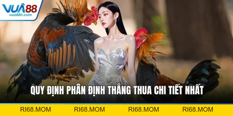 Đá Gà Thomo Trực Tiếp Kịch Tính Bùng Nổ Cảm Xúc