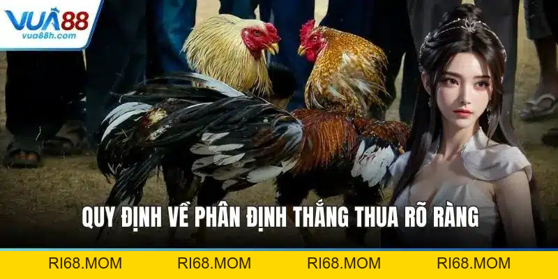 Đá Gà C1 - Siêu Kinh Điển Tại Đấu Trường Thomo Uy Tín