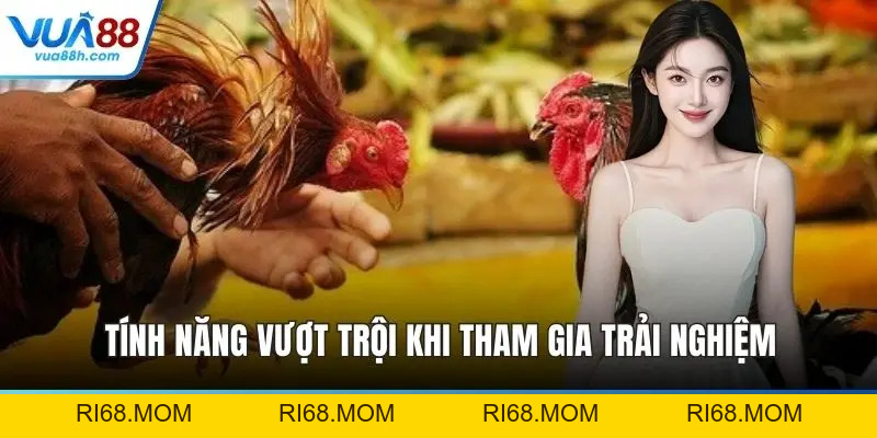 Đá Gà VUA88 Trực Tiếp Kịch Tính Với Sân Chơi Đỉnh Cao